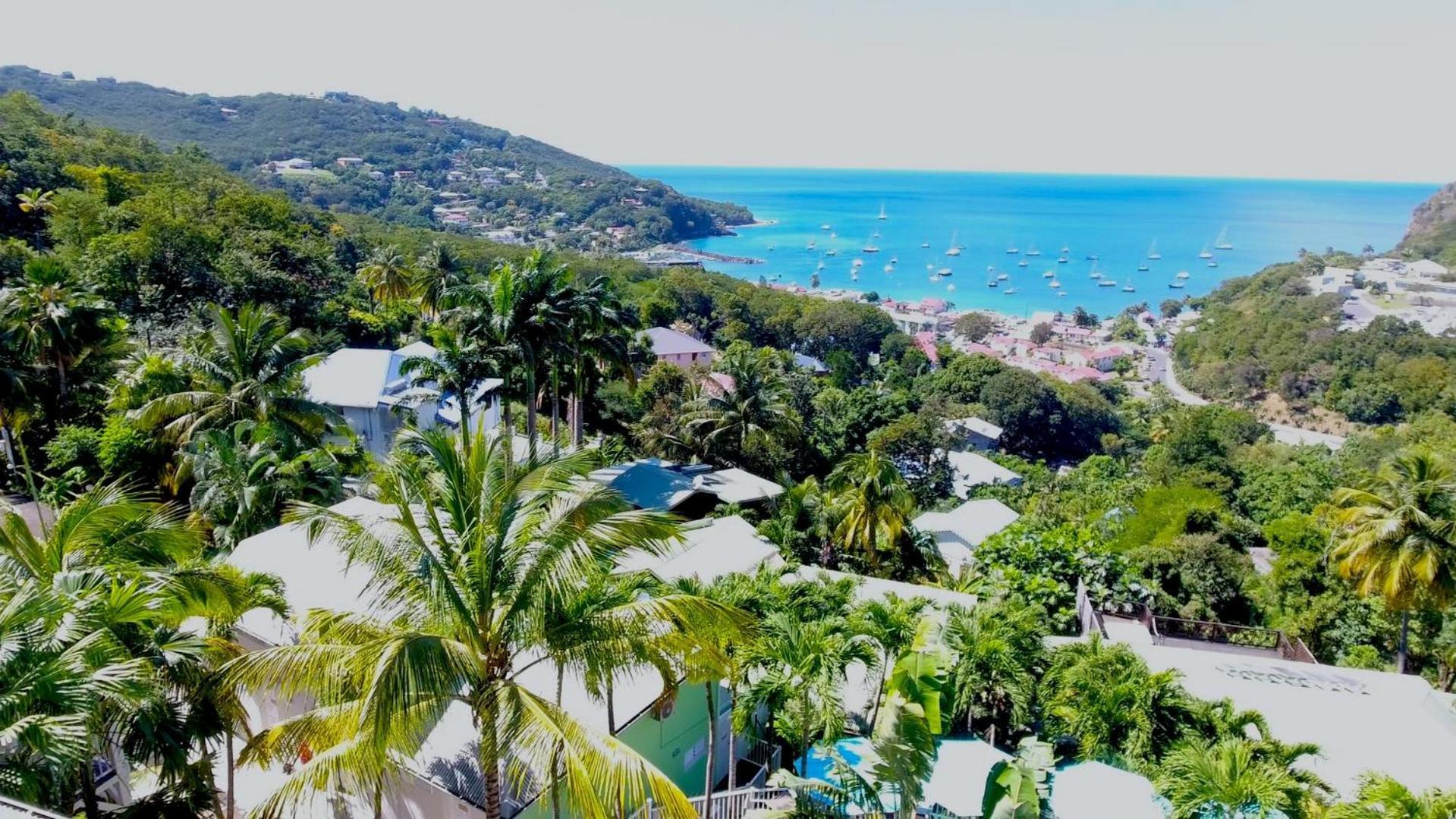 O Coeur De Deshaies Appartements Grande Anse Et Amandiers Dış mekan fotoğraf